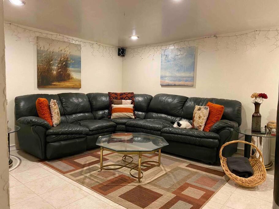 Treasure In Queens Apartment New York Ngoại thất bức ảnh